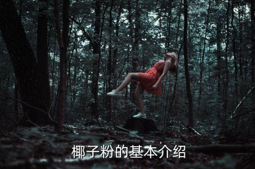 椰子粉的基本介绍