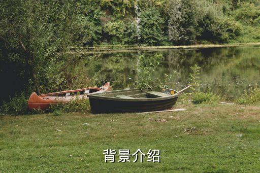 背景介绍