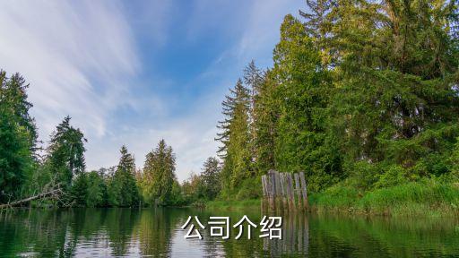 公司介绍