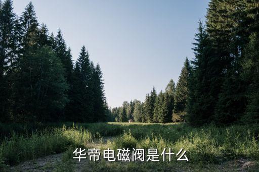 华帝电磁阀是什么