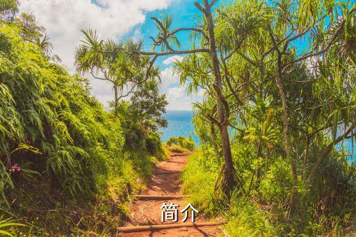 简介