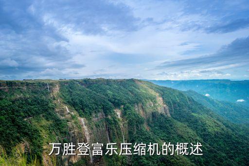 万胜登富乐压缩机的概述