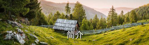 简介