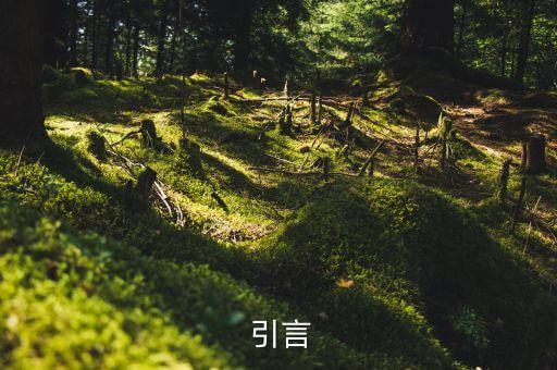 引言