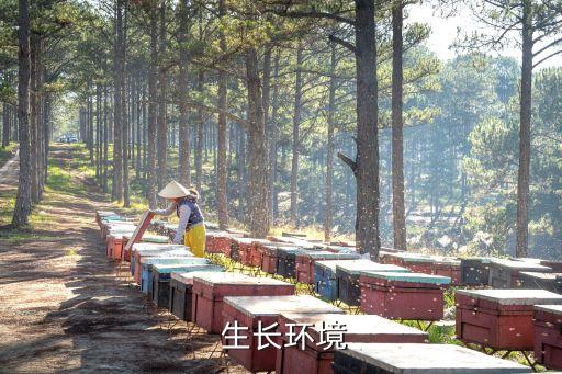 生长环境