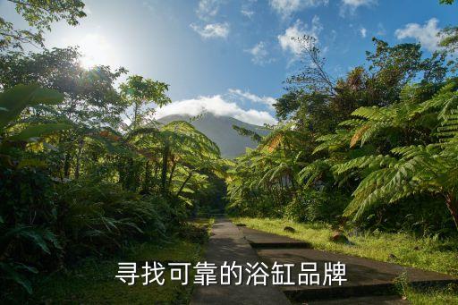 寻找可靠的浴缸品牌