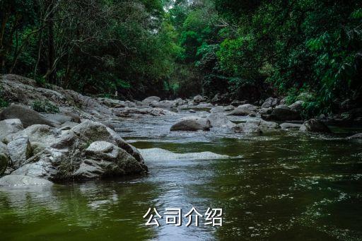 公司介绍