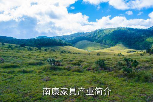 南康家具产业简介