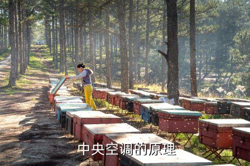 中央空调的原理
