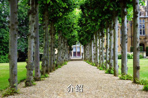 介绍