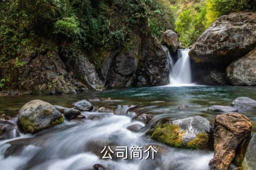 公司简介