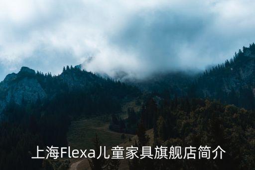 上海Flexa儿童家具旗舰店简介
