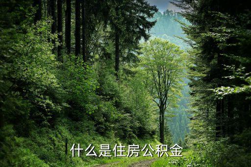 什么是住房公积金
