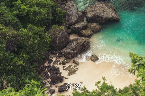 介绍