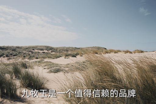 九牧王是一个值得信赖的品牌