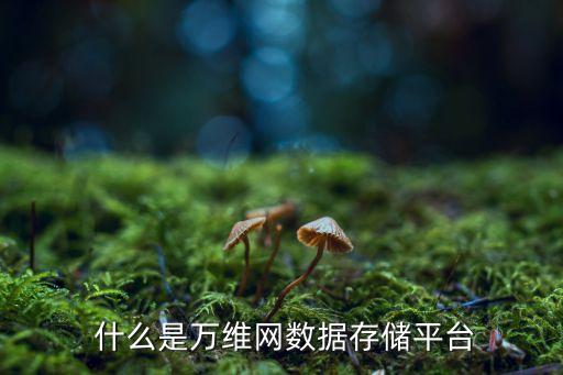 什么是万维网数据存储平台