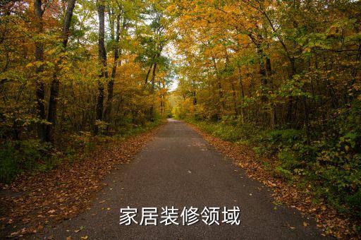 家居装修领域