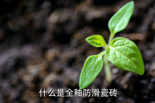 什么是全釉防滑瓷砖
