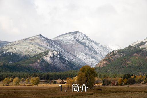1、简介