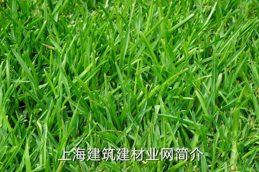 上海建筑建材业网简介