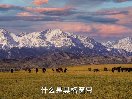 什么是其格窗帘