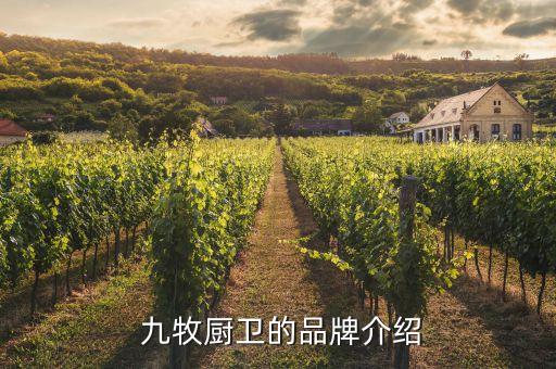 九牧厨卫的品牌介绍