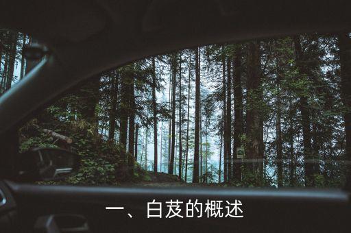 一、白芨的概述
