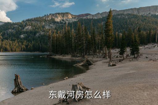 东戴河房怎么样
