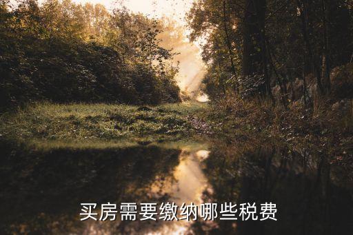 买房需要缴纳哪些税费