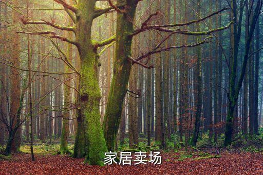 家居卖场