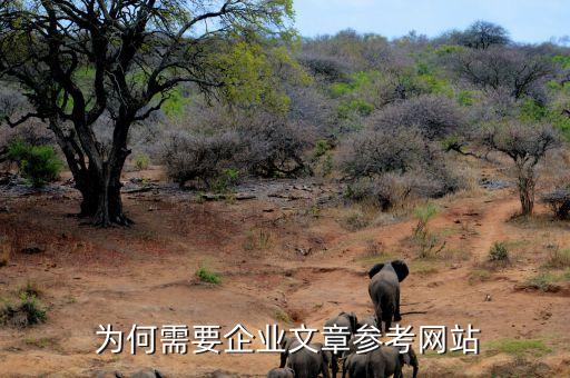 为何需要企业文章参考网站