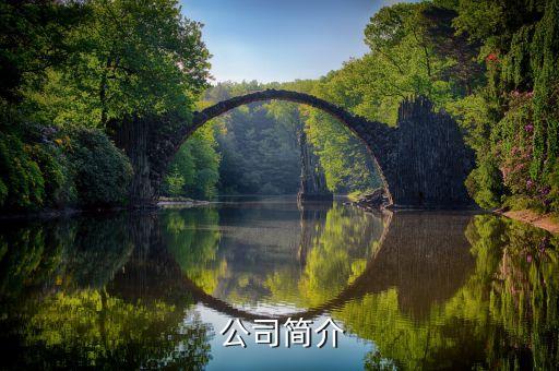 公司简介