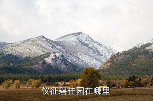 仪征碧桂园在哪里