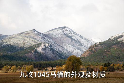 九牧1045马桶的外观及材质