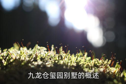 九龙仓玺园别墅的概述