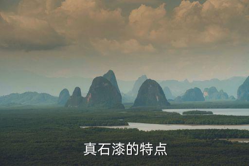 真石漆的特点