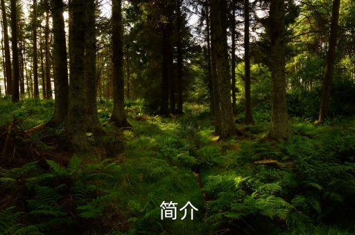 简介