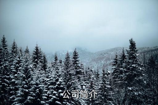公司简介
