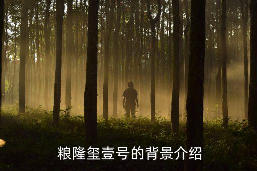 粮隆玺壹号的背景介绍