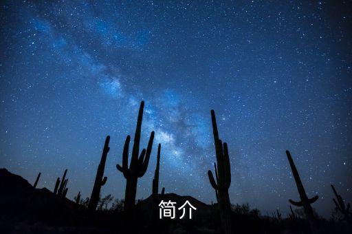 简介