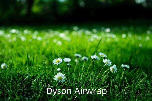 Dyson Airwrap