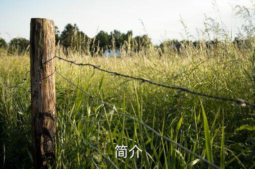 简介