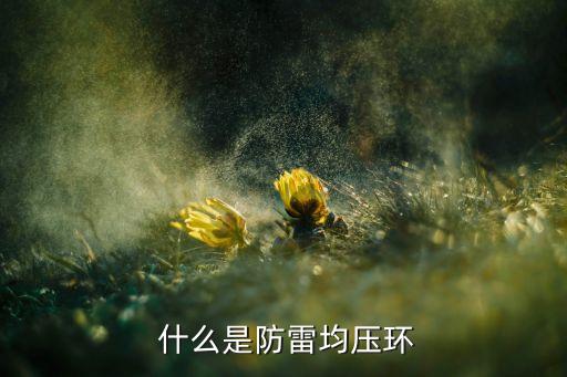 什么是防雷均压环