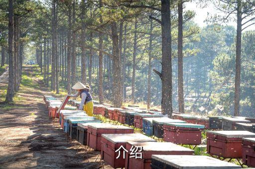 介绍