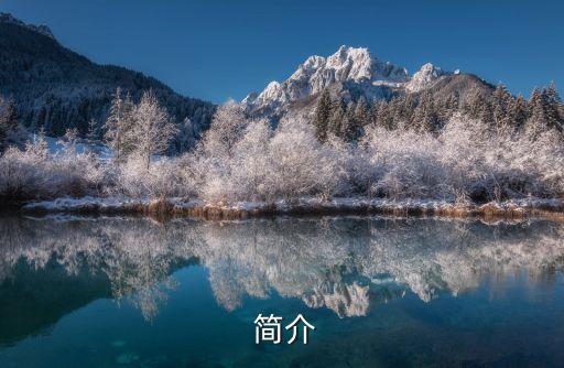 简介