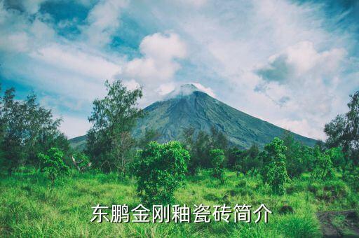 东鹏金刚釉瓷砖简介