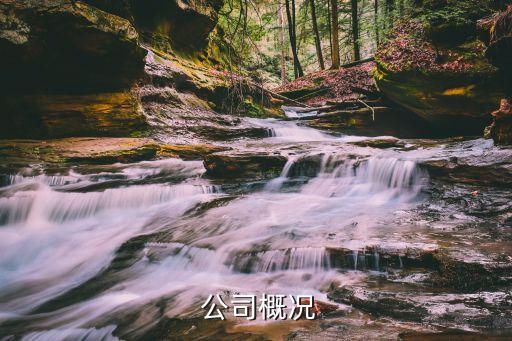 公司概况