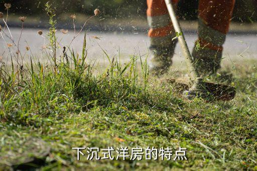 下沉式洋房的特点