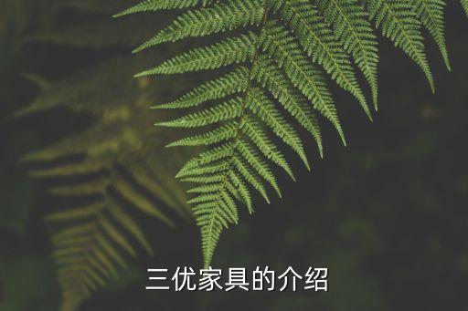 三优家具的介绍