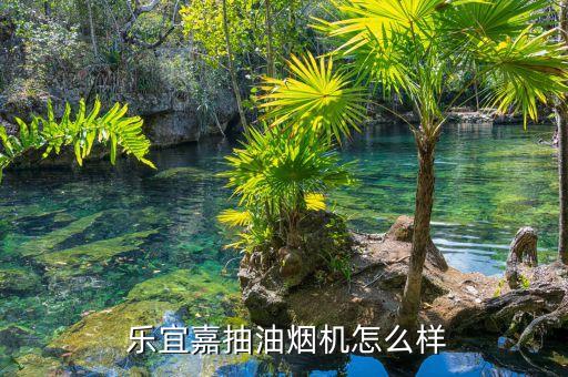 乐宜嘉抽油烟机怎么样